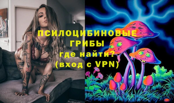 apvp Навашино