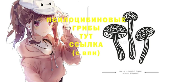 MDMA Нефтегорск