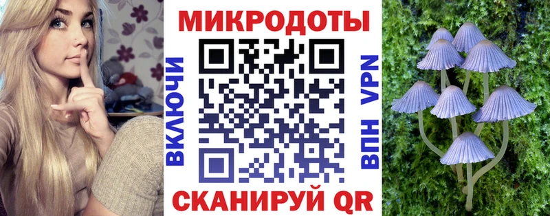 купить сайты Разумное Галлюциногенные грибы Psilocybe